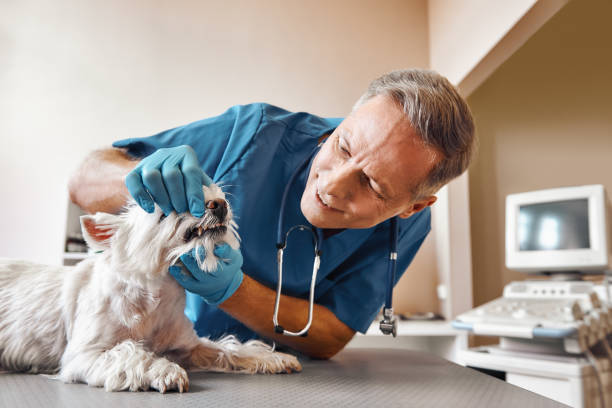 Best Emergency Root Canal Therapy in Ho Ho Kus, NJ